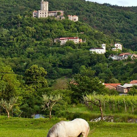 Guesthouse Ošterija Branik Eksteriør billede